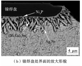 鎳焊盤(pán)處界面放大形貌
